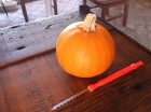 Pumpkin:carver